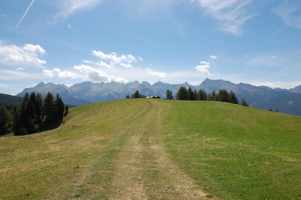 Cimon Dolomites Hotel Predazzo Exterior foto